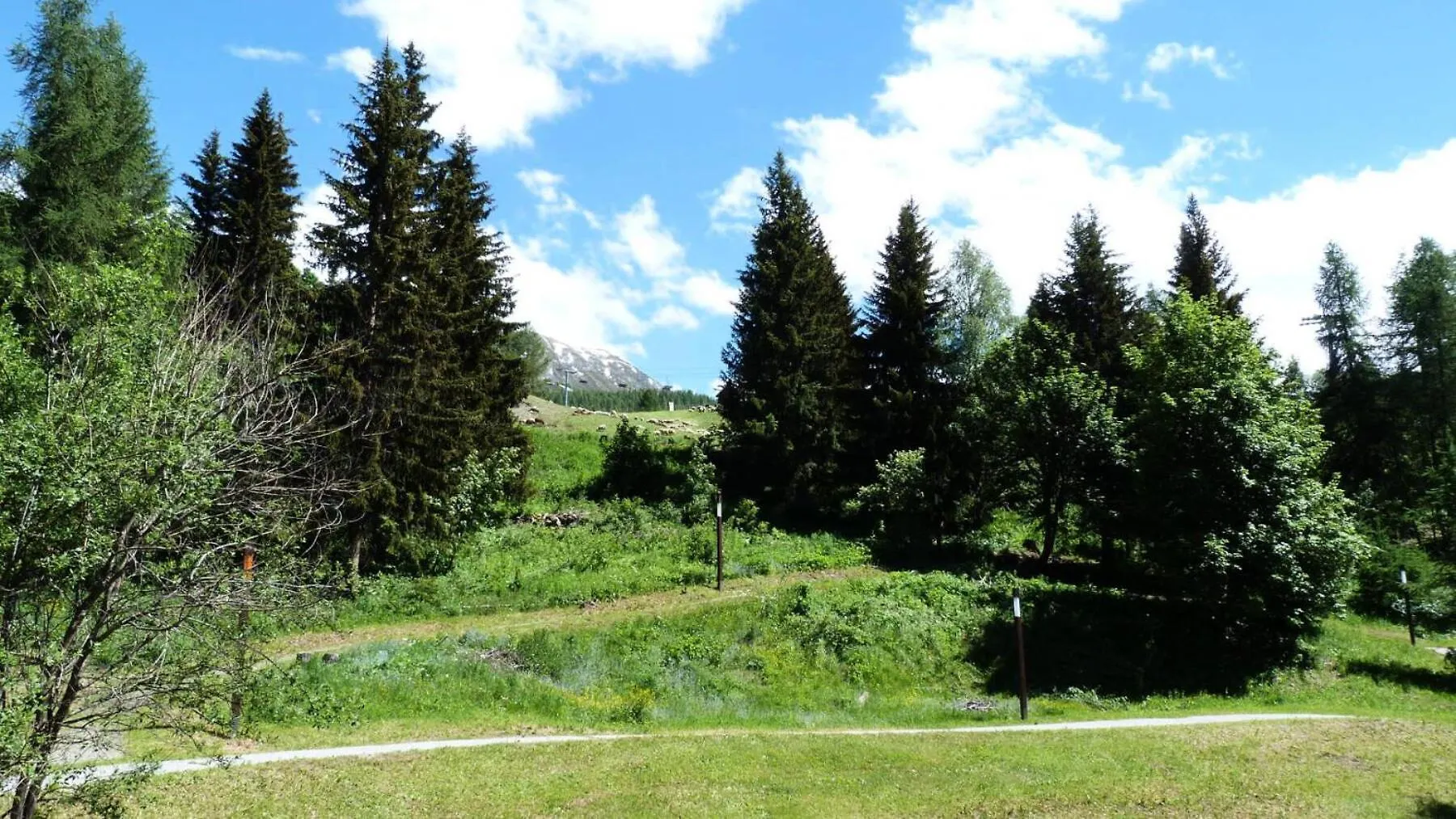 Apartment Residence Aiguille Grive Bat II - Appartement 2 Pieces En Duplex Pour 5 Personnes Proche Des Pistes Dans Le Village De Charmettoger A Arc 1800 Mae-2079 Les Arcs  France